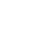 Химки logo